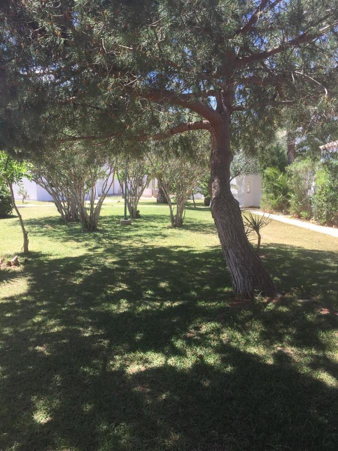 Holiday home Cala Serena 1