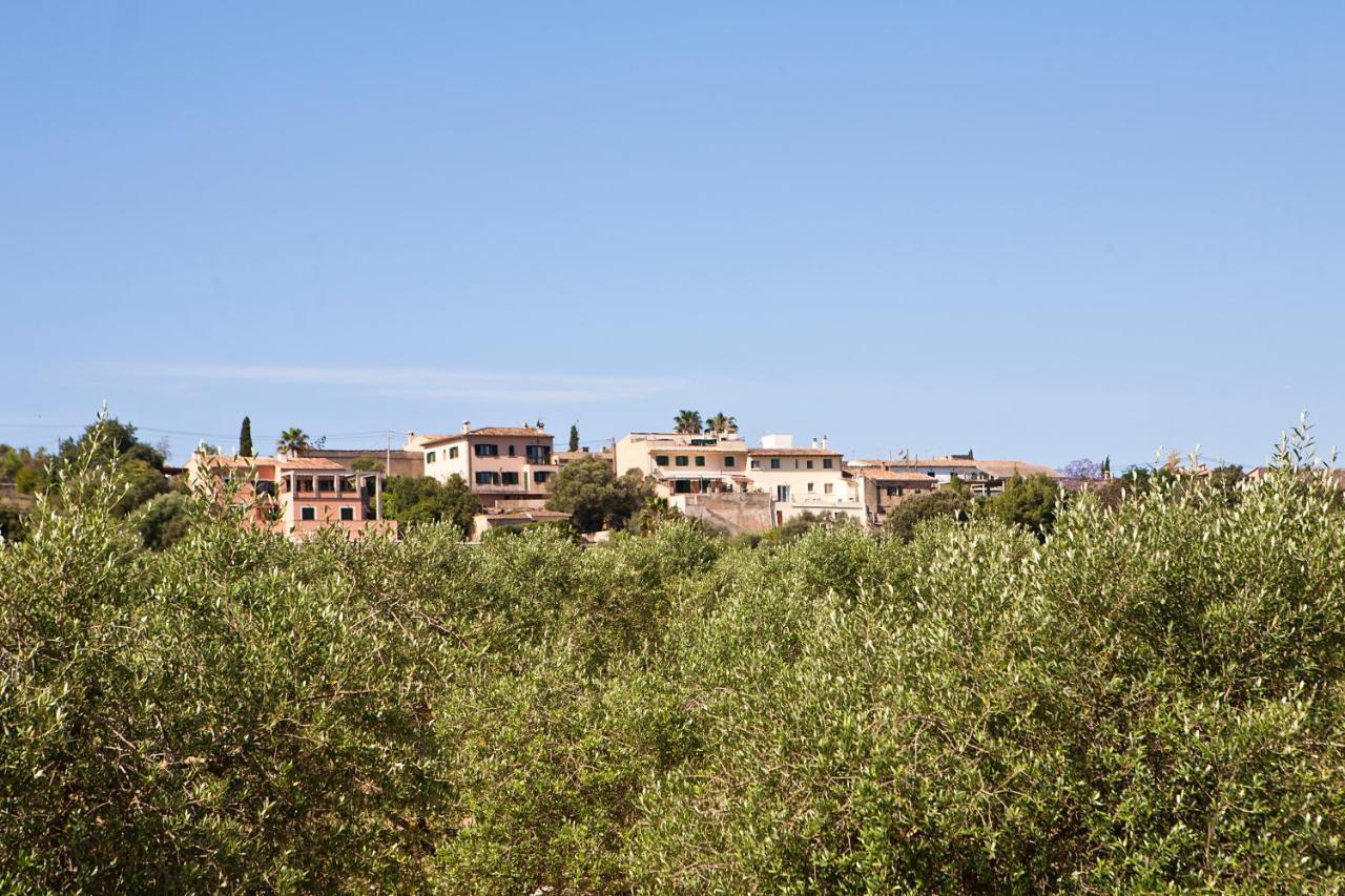 S'hort De Son Caulelles - Adults Only Farm stay Marratxi