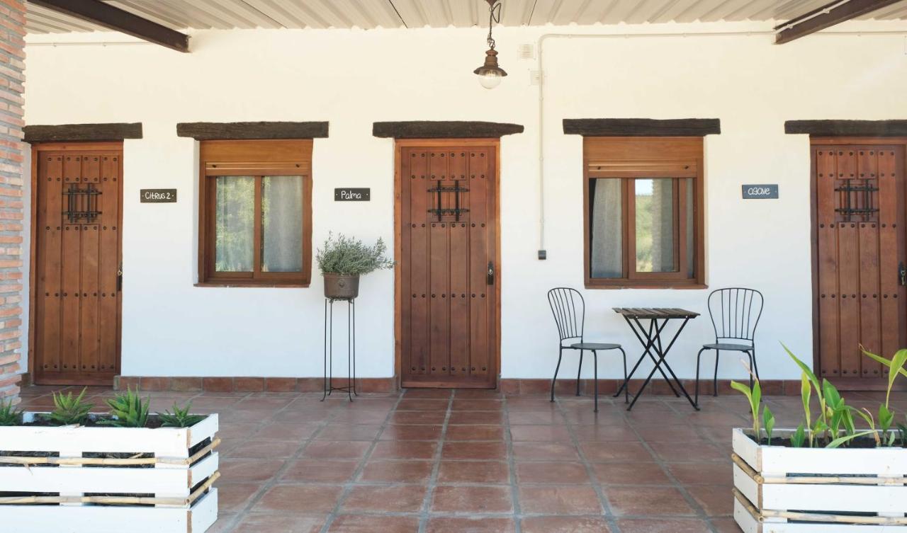 Farm stay The Wild Olive Andalucia Agave Guestroom Casares
