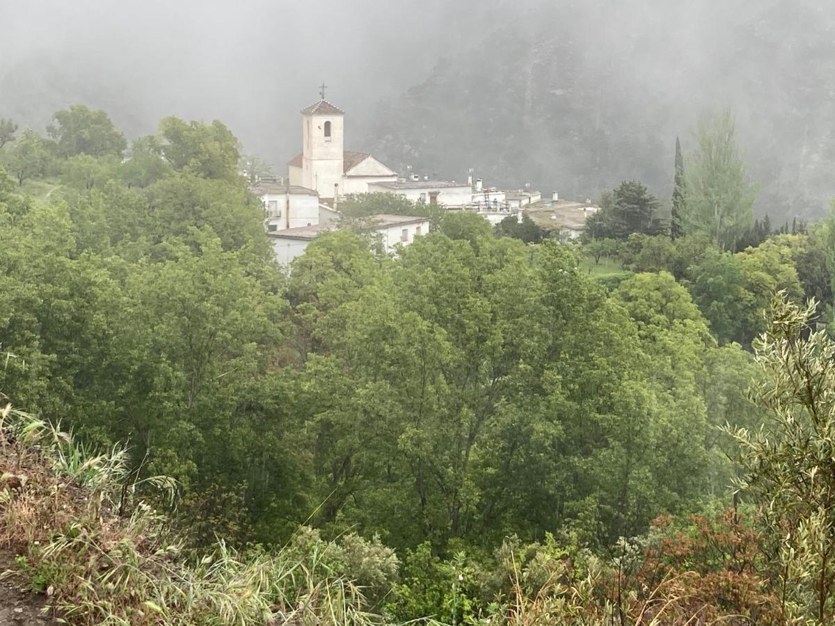 Casa Barbara *