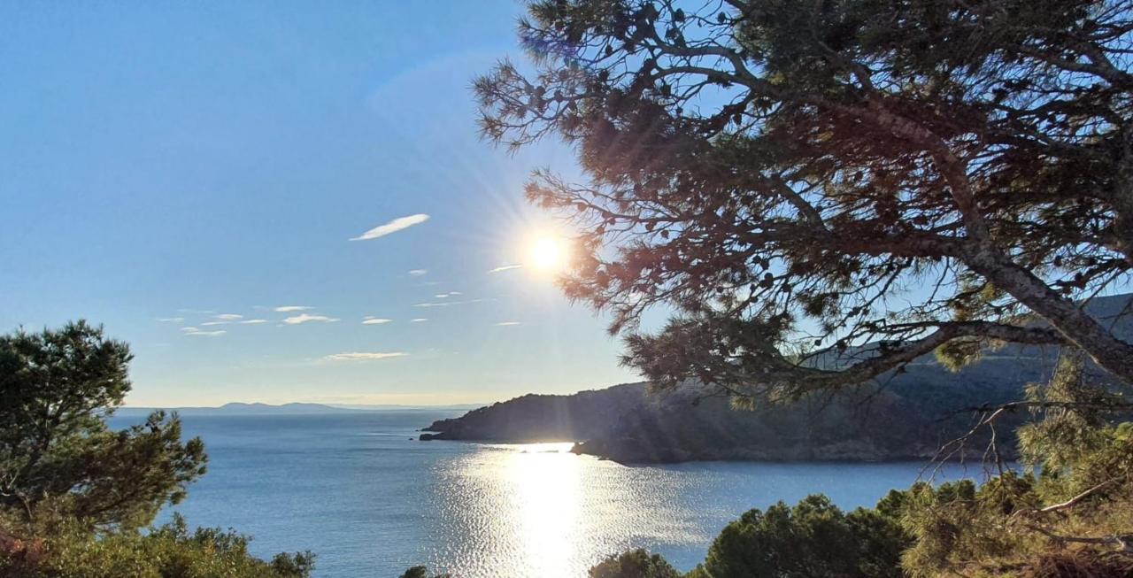 Apartment Beautiful 75m2 With View At The Beach, Pool, Parking Roses