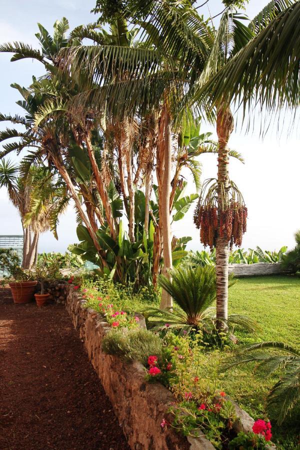 Apartment El Patio