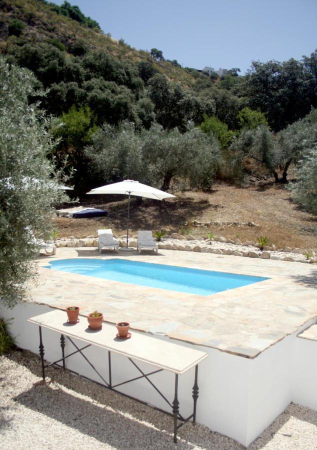Guest house La Pluma *