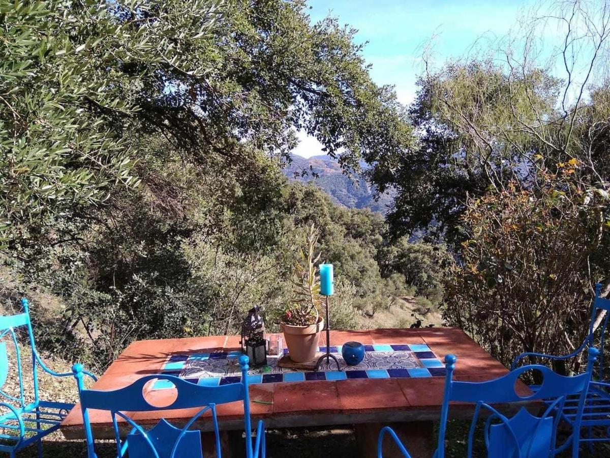 Apartment Casa El Chaparral Songbird Mountain