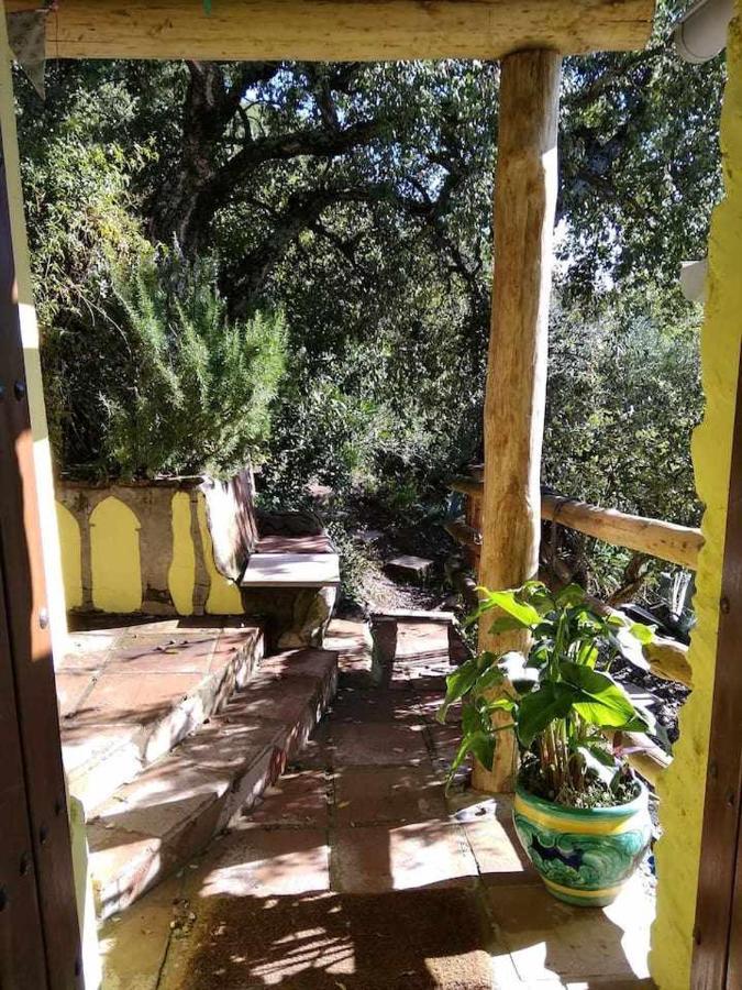 Apartment Casa El Chaparral Songbird Mountain *