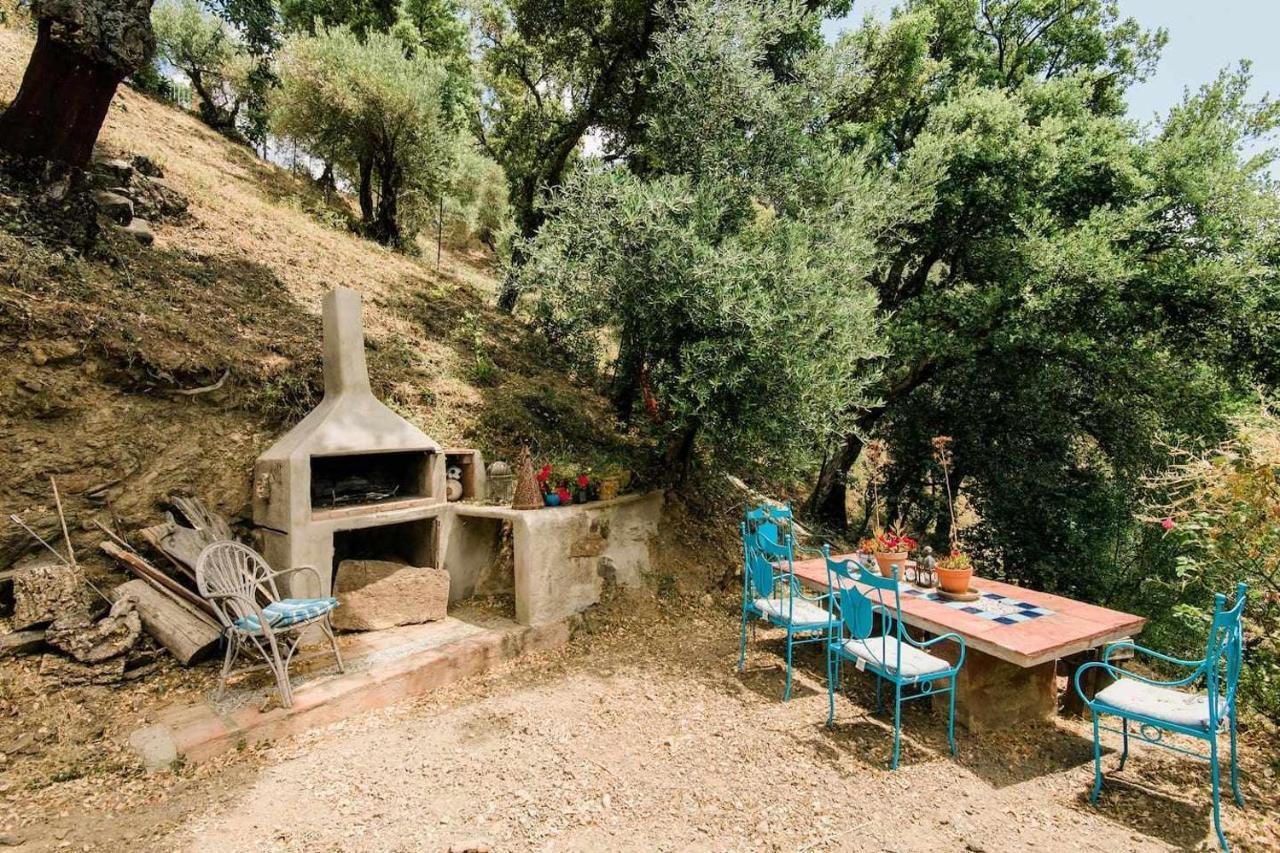 Casa El Chaparral Songbird Mountain Apartment Benadalid