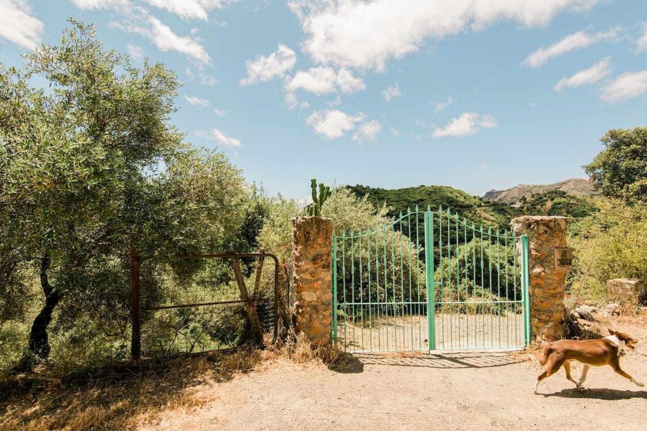 Apartment Casa El Chaparral Songbird Mountain Benadalid