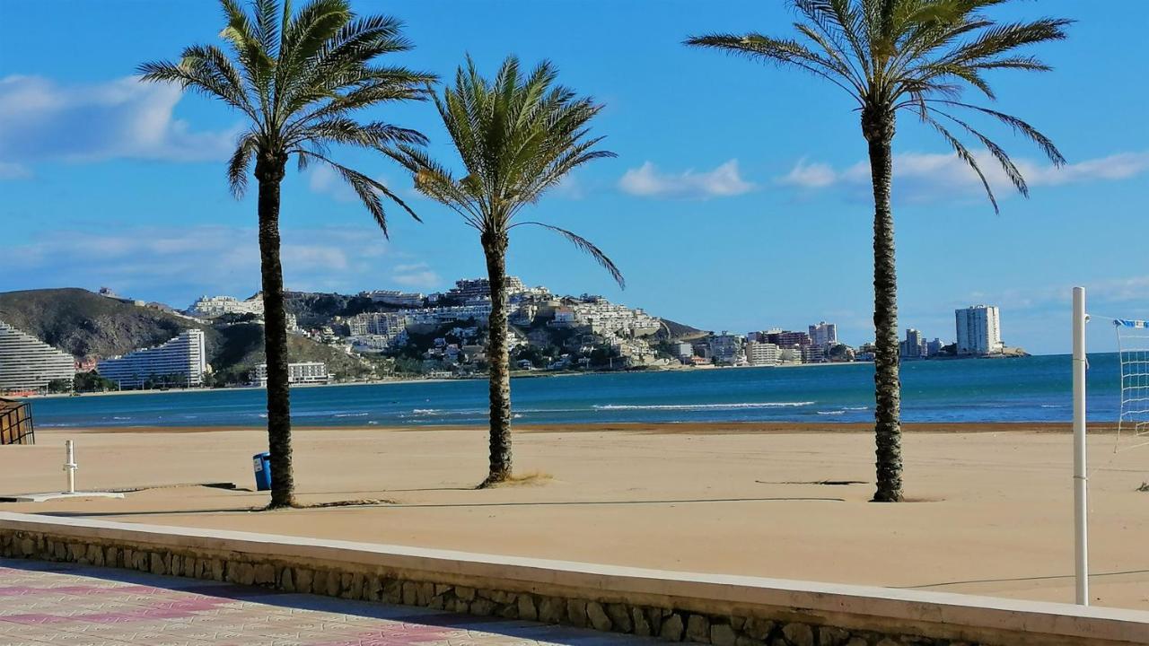 Lavanda * Cullera