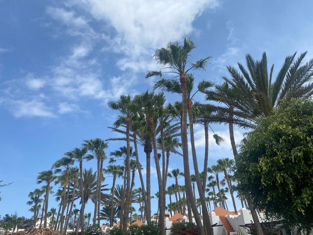 Brand New!! Oasis Costa Calma!!! !! Fast Wi-fi !! * Costa Calma