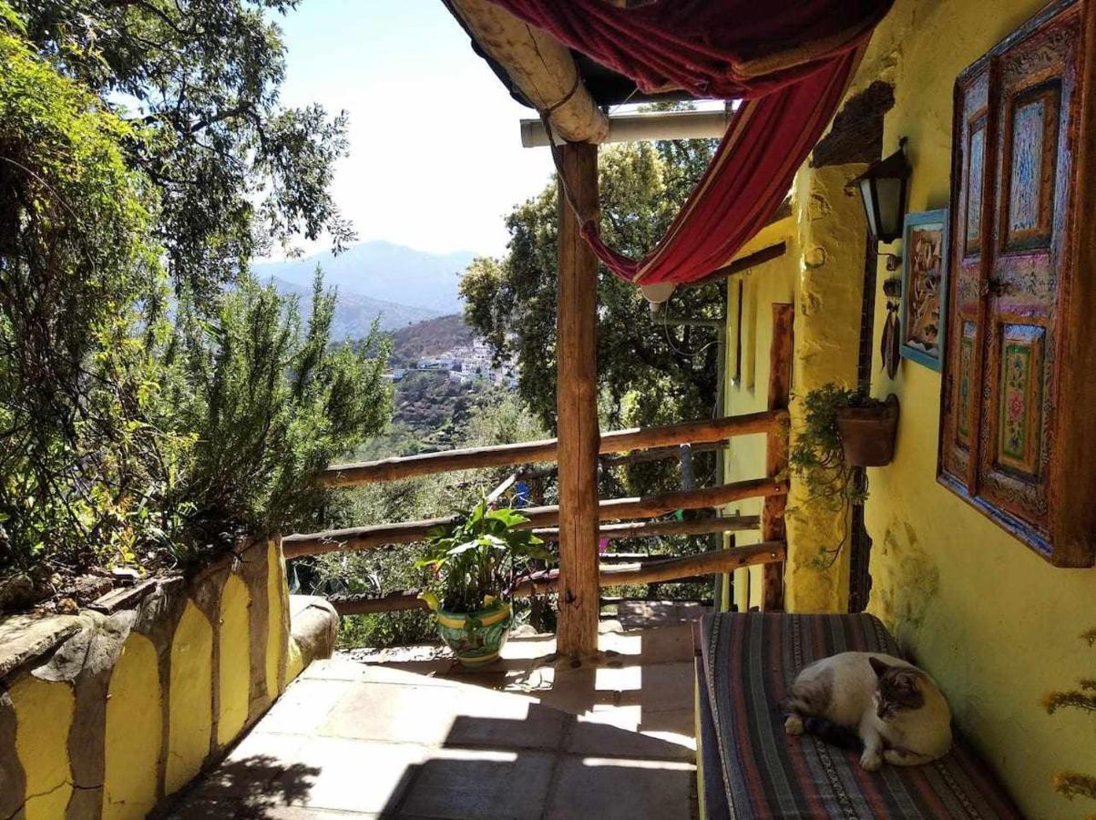 Apartment Casa El Chaparral Songbird Mountain Benadalid