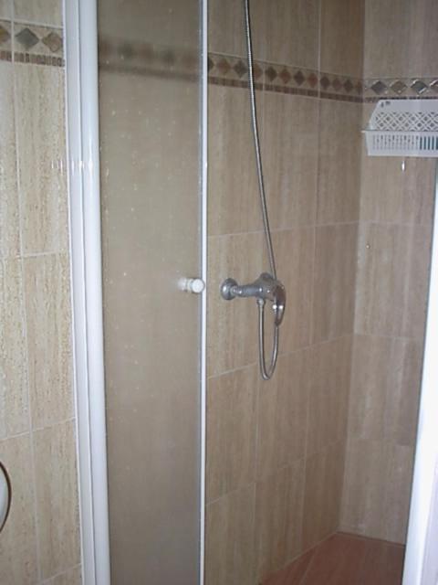 Olivo 6