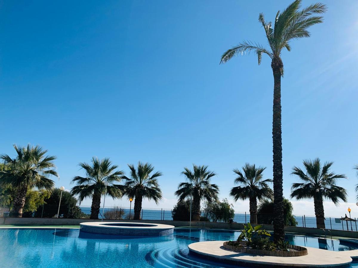 Atico Con Solarium Privado En Aguamarina