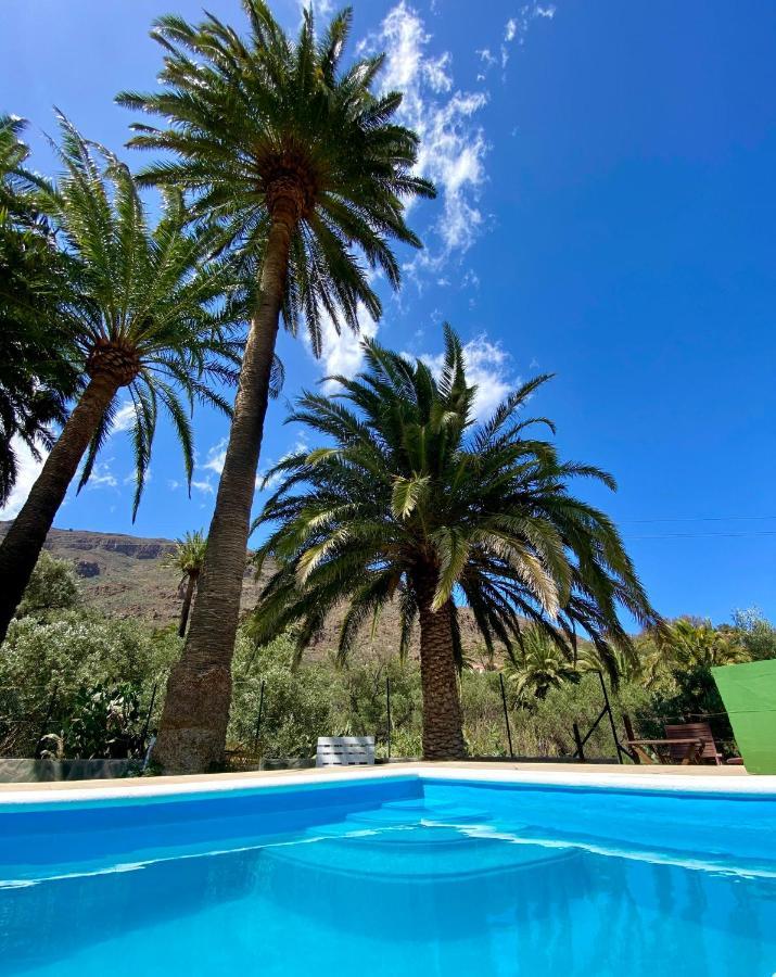 Сasa de vacaciones Palmeras Temisas