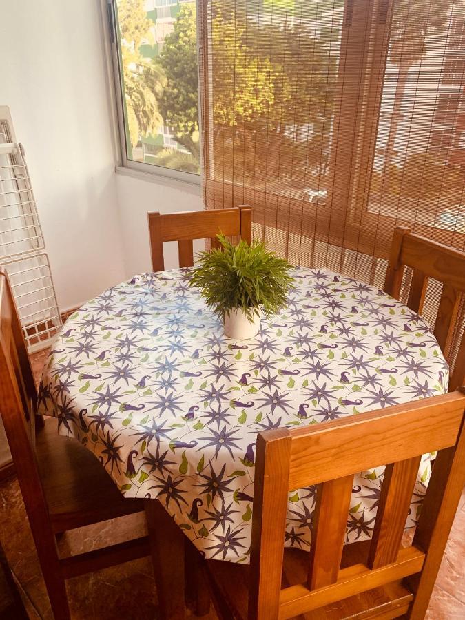 Verdellada Aeropuerto Norte Apartment La Laguna (Tenerife)