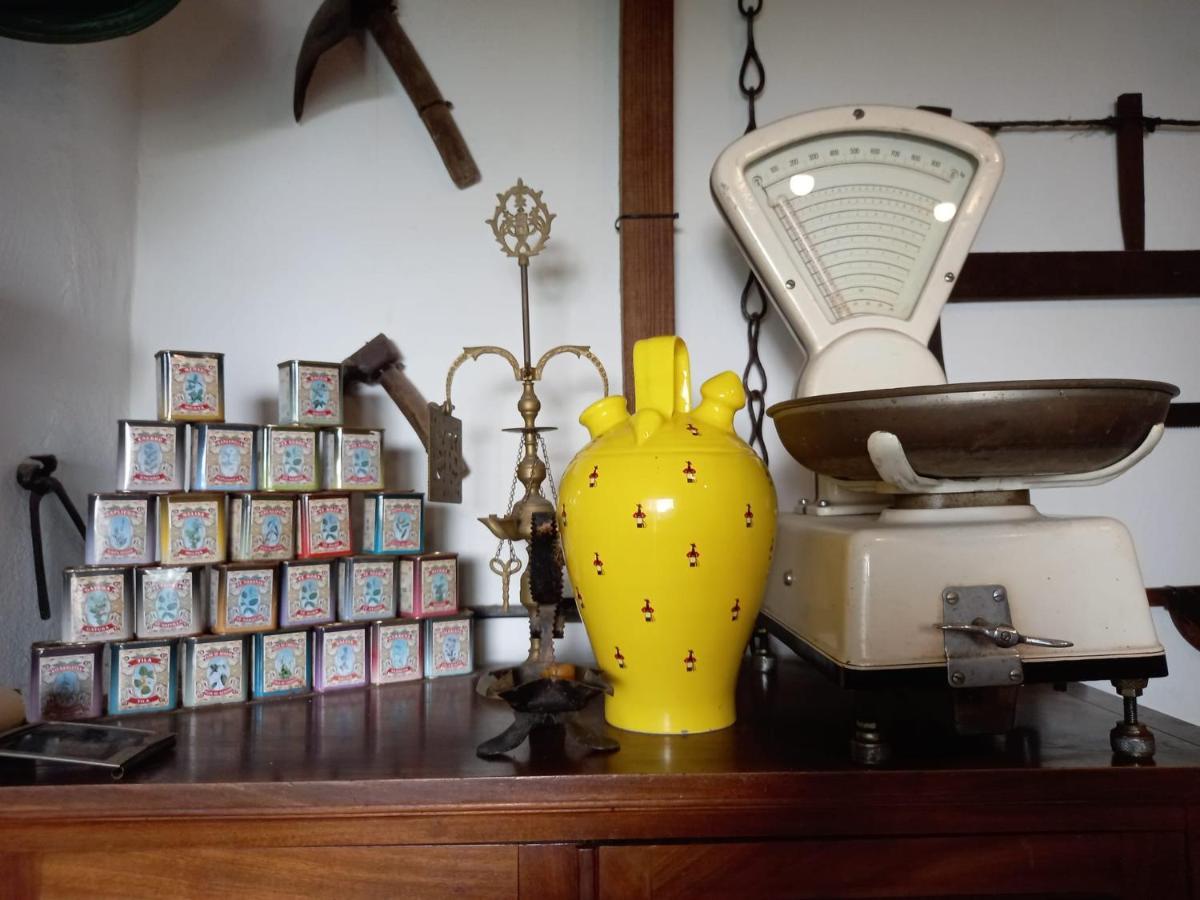 Apartamento Casa Museo Jerez Centro Jerez de la Frontera