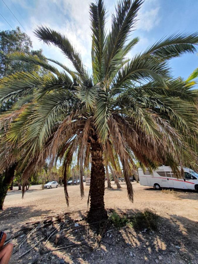 Apartamento Belsol