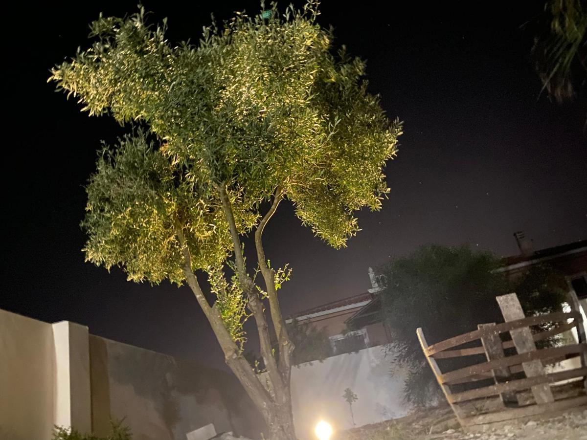 Dolores, Un Chalet Con Piscina Y Barbacoa En La Huerta Del Segura. Catral