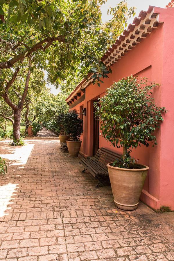 Apartment Homeforguest Cosy Rural Flat La Lavanda Surrounded By Nature *