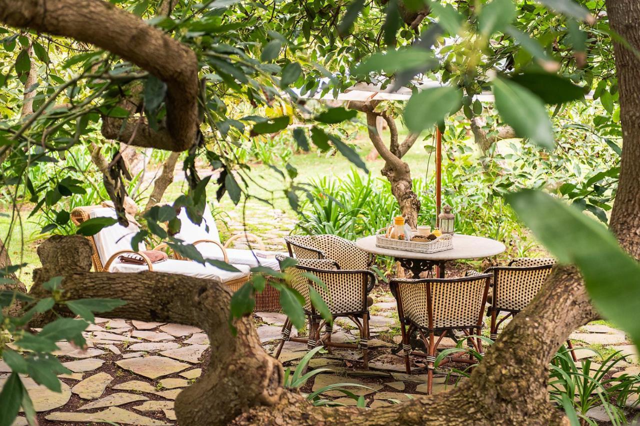 Homeforguest Cosy Rural Flat La Lavanda Surrounded By Nature * Tacoronte