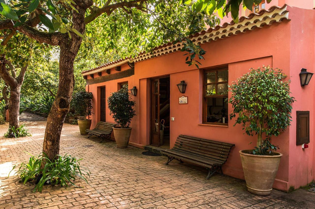 Apartment Homeforguest Cosy Rural Flat La Lavanda Surrounded By Nature Tacoronte