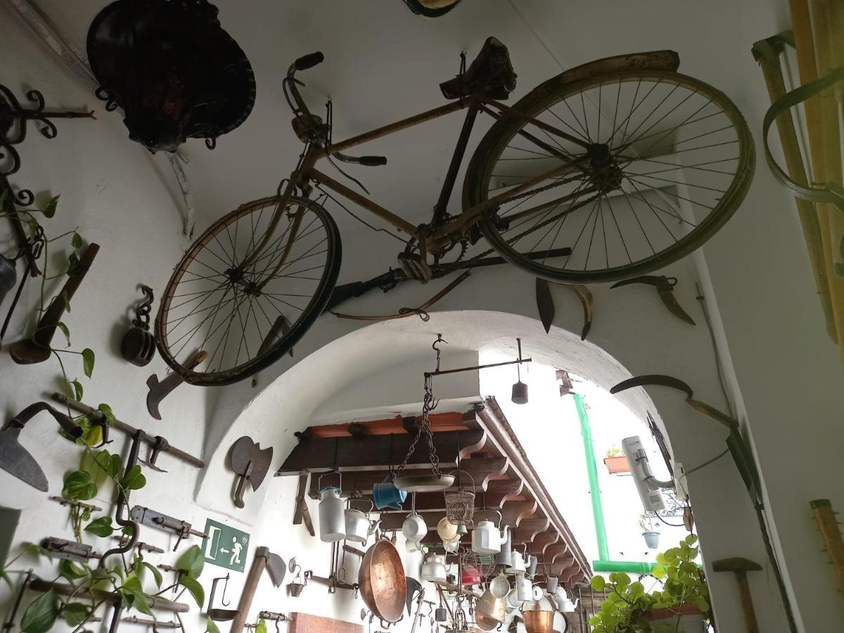 Casa Museo Jerez Centro