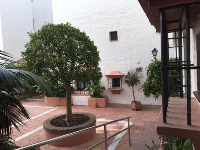 Large And Elegant In Puerto Banus With Pools And Paddle