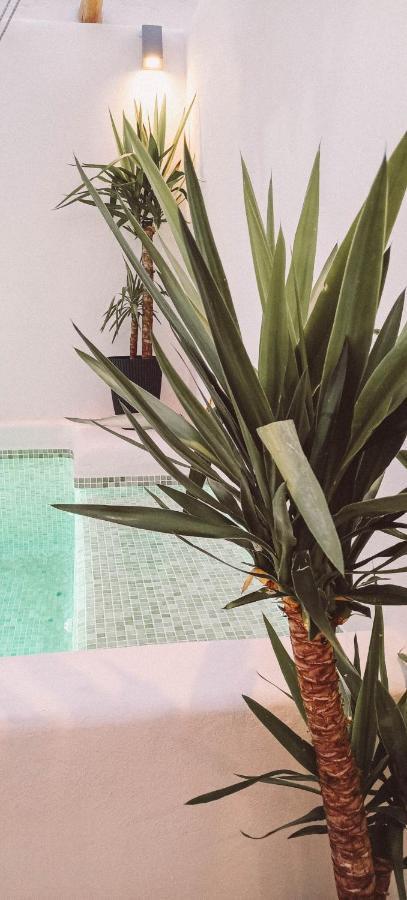 With Private Pool Apartment Ronda