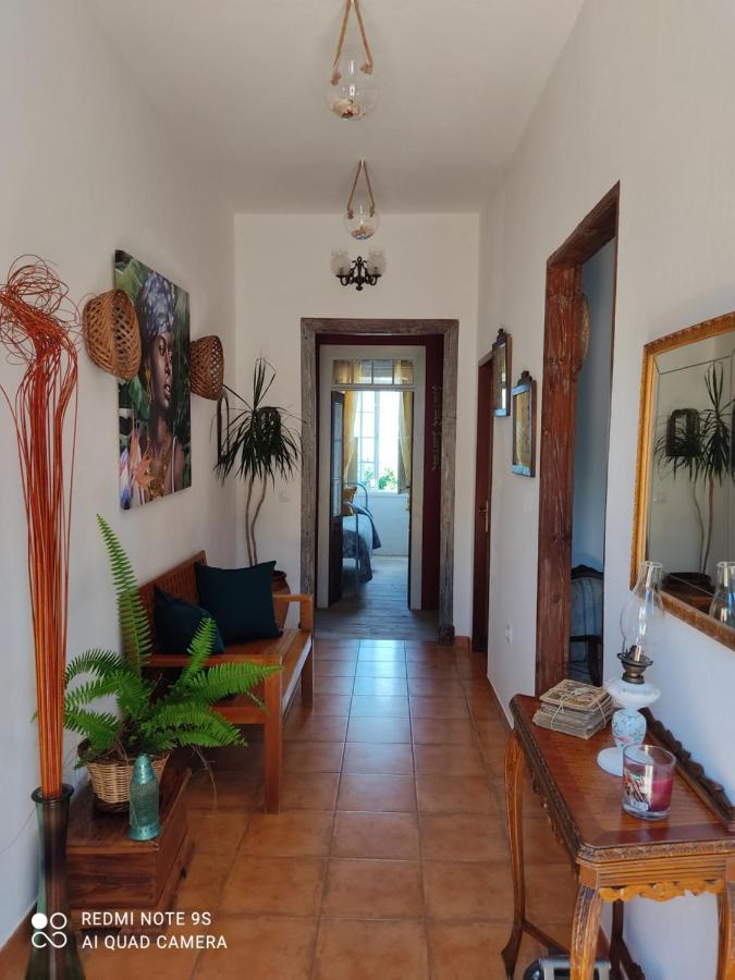 Pino Redondo Holiday home Puntagorda (La Palma)