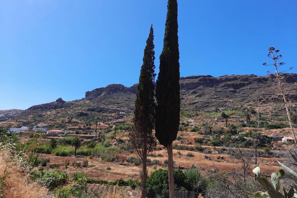 Cipreses. Cercados De Araña Сasa de vacaciones San Bartolomé