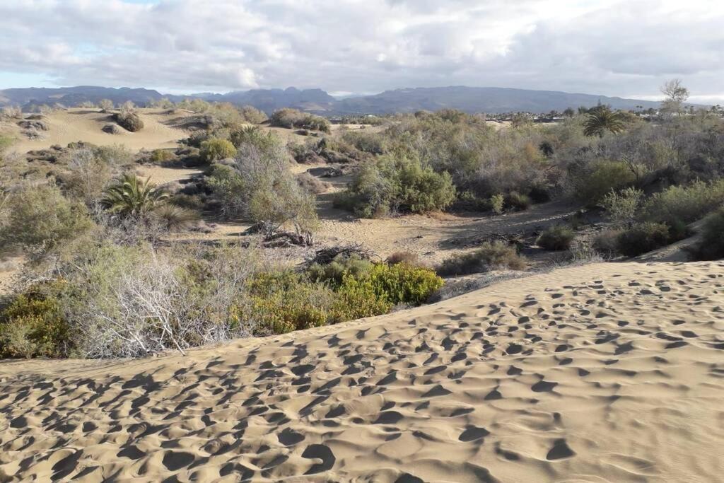Apartment Tucan With Beautiful Views Near Dunes, Fast Fiber Wifi