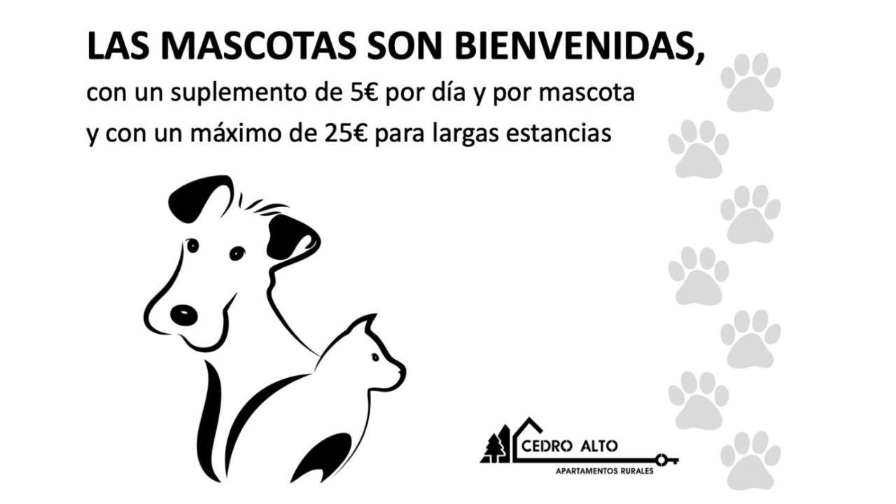Cedro Alto