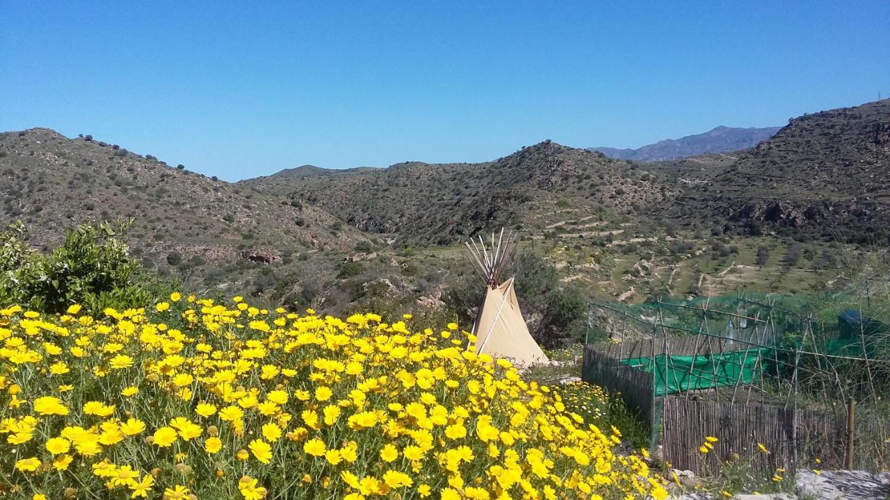 Bed and breakfast Eco-casa Alegria Y Luna Sorbas