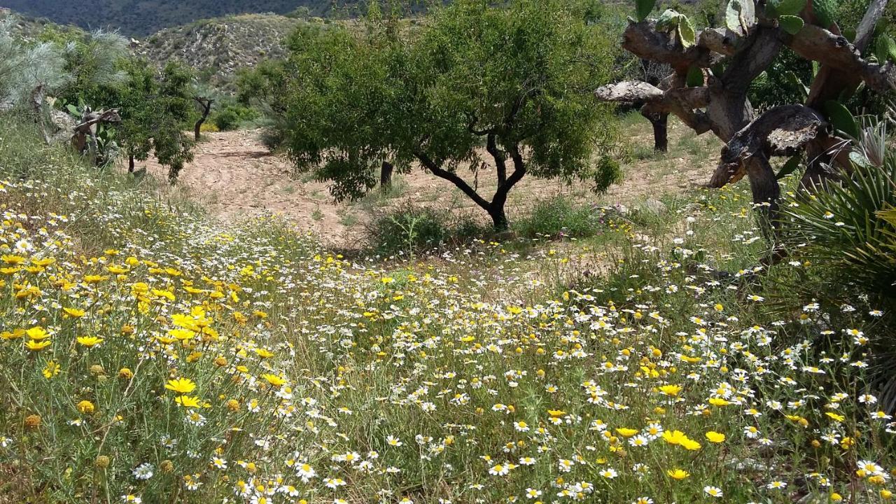 Eco-casa Alegria Y Luna Bed and breakfast