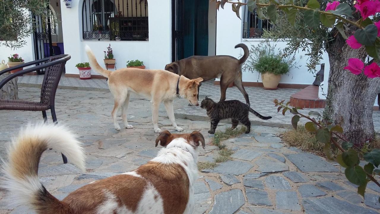 Eco-casa Alegria Y Luna * Sorbas