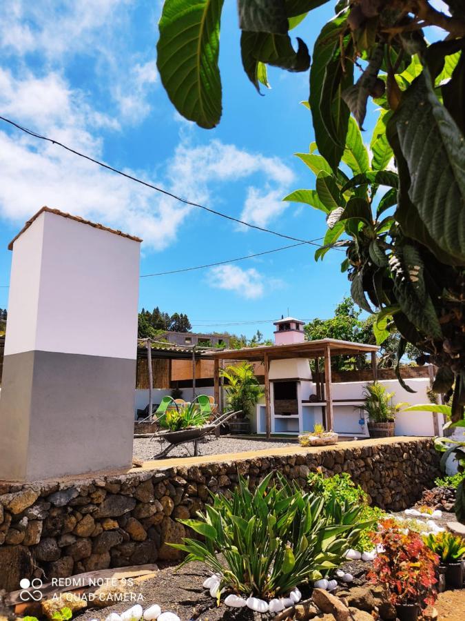 Pino Redondo * Puntagorda (La Palma)