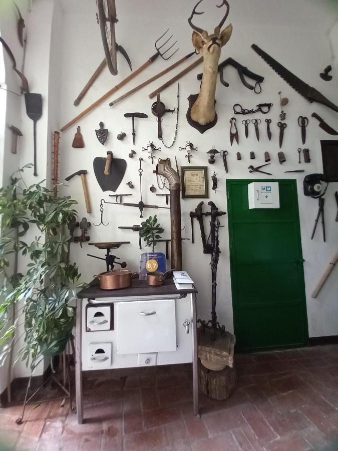 Casa Museo Jerez Centro Apartamento Jerez de la Frontera
