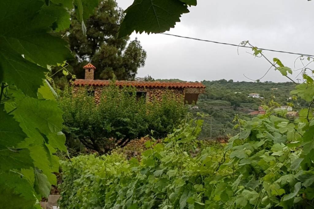 La Tagora En Icod De Vinos Chalet Icod De Los Vinos
