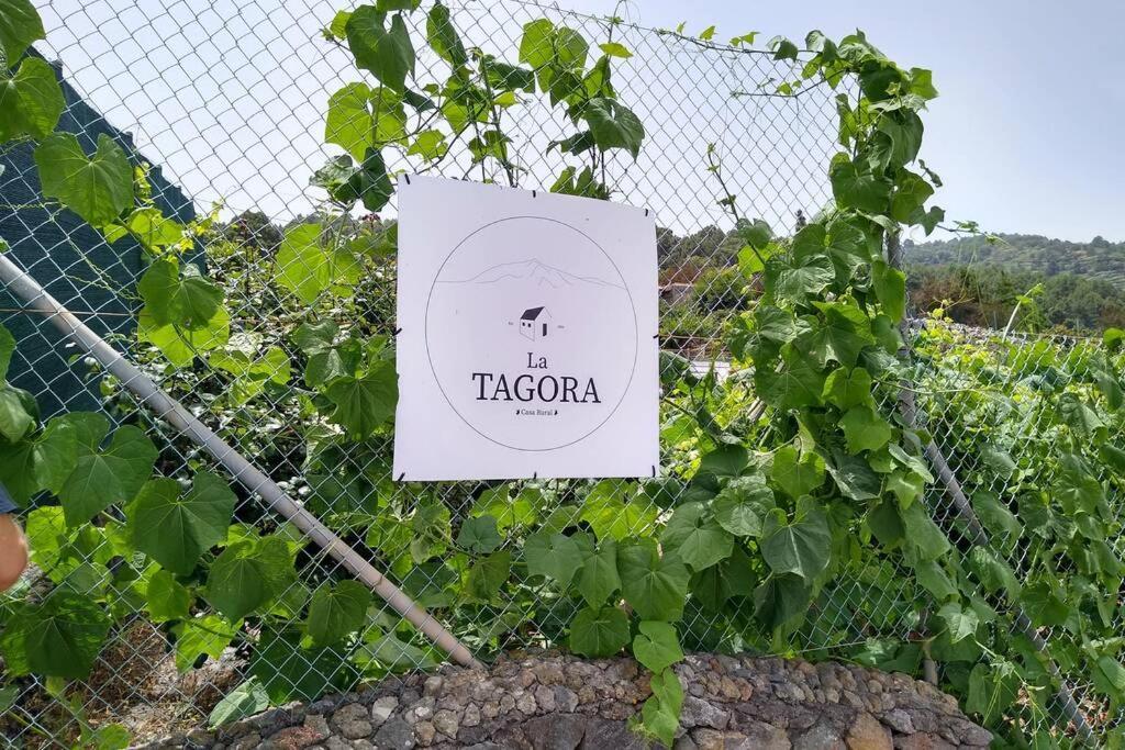 La Tagora En Icod De Vinos