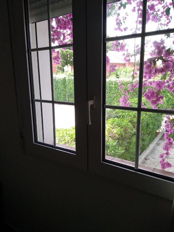 Сasa de vacaciones Santamaria En El Rodat