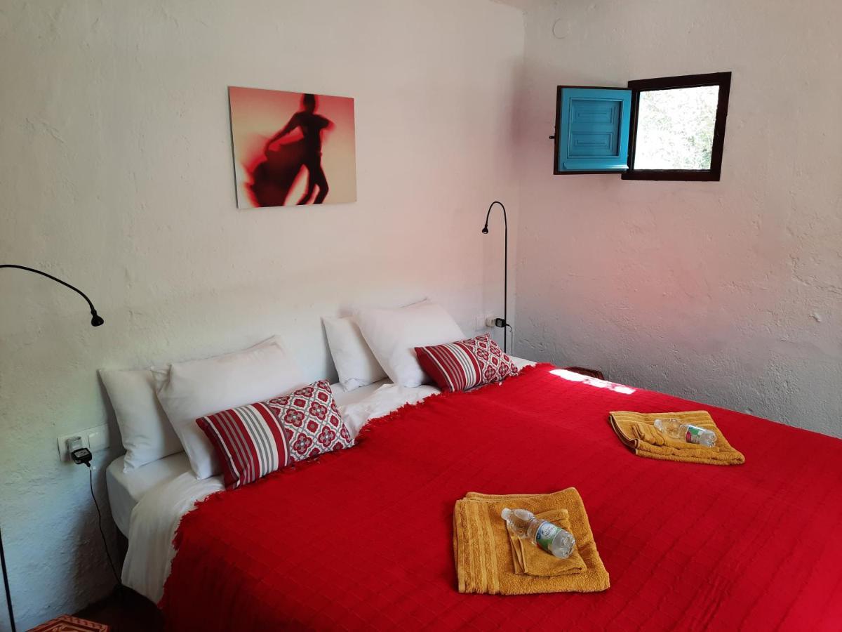 Rural El Oasis Bed & Breakfast *