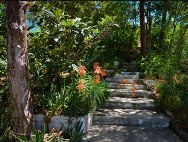 Bed and breakfast La Barranca De La Barca *