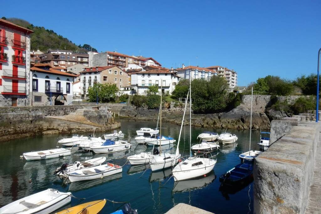 Apartment En El Centro De Ebi646 Mundaka