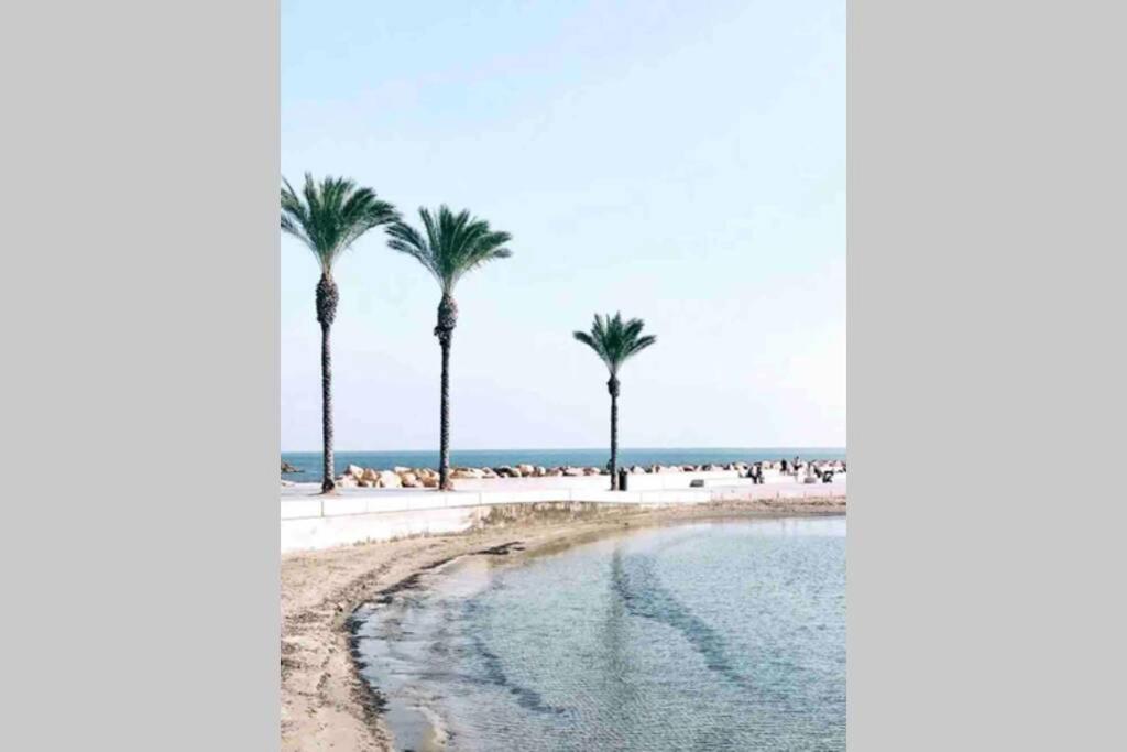 Acogedor Apartamento Con Piscina Cerca A La Playa Apartamento *