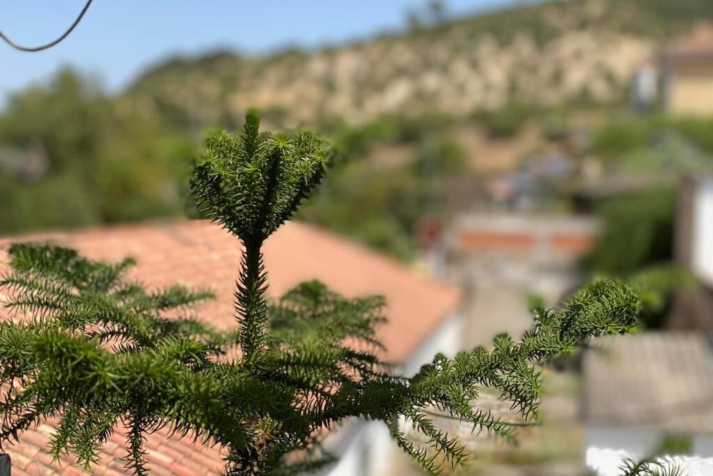 Сasa de vacaciones La Casona Del Molino En El Bosque