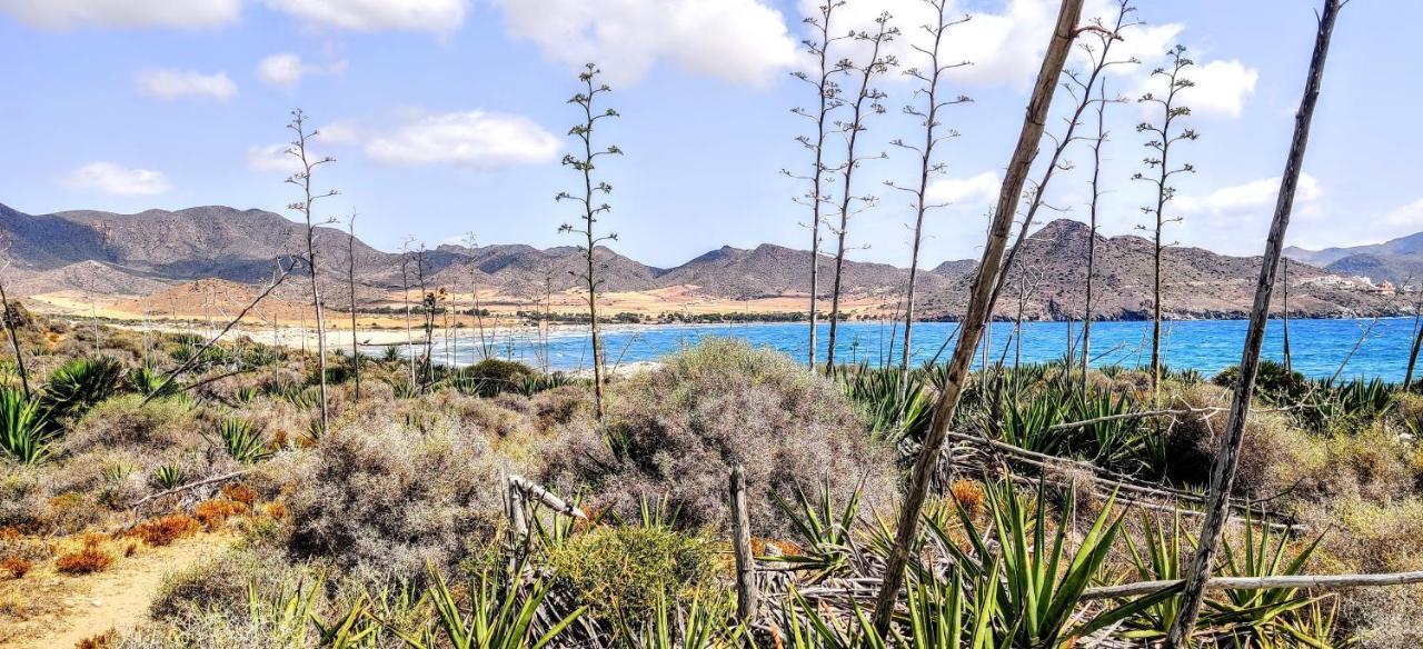 Laguna - Your Duplex In The Sun!