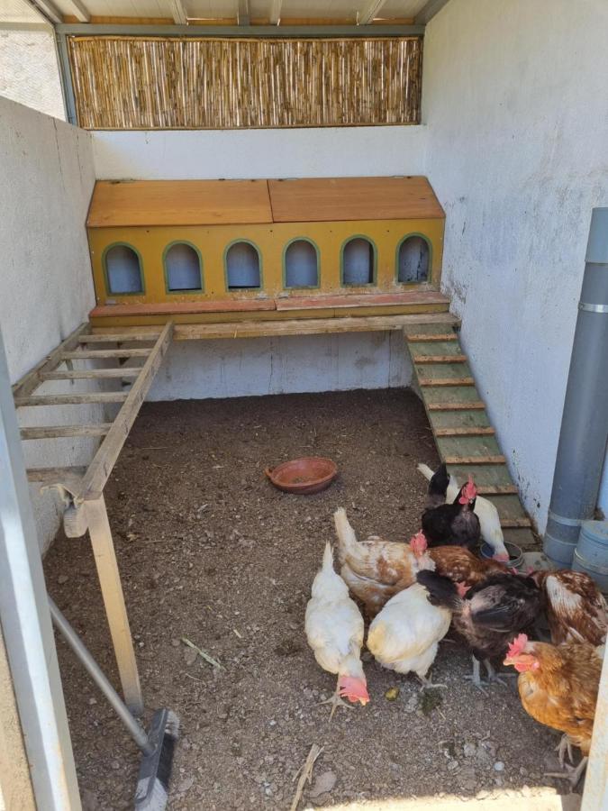 Lakika Apartamento Almería