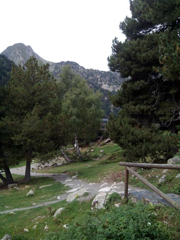 Apartamento L'arrel