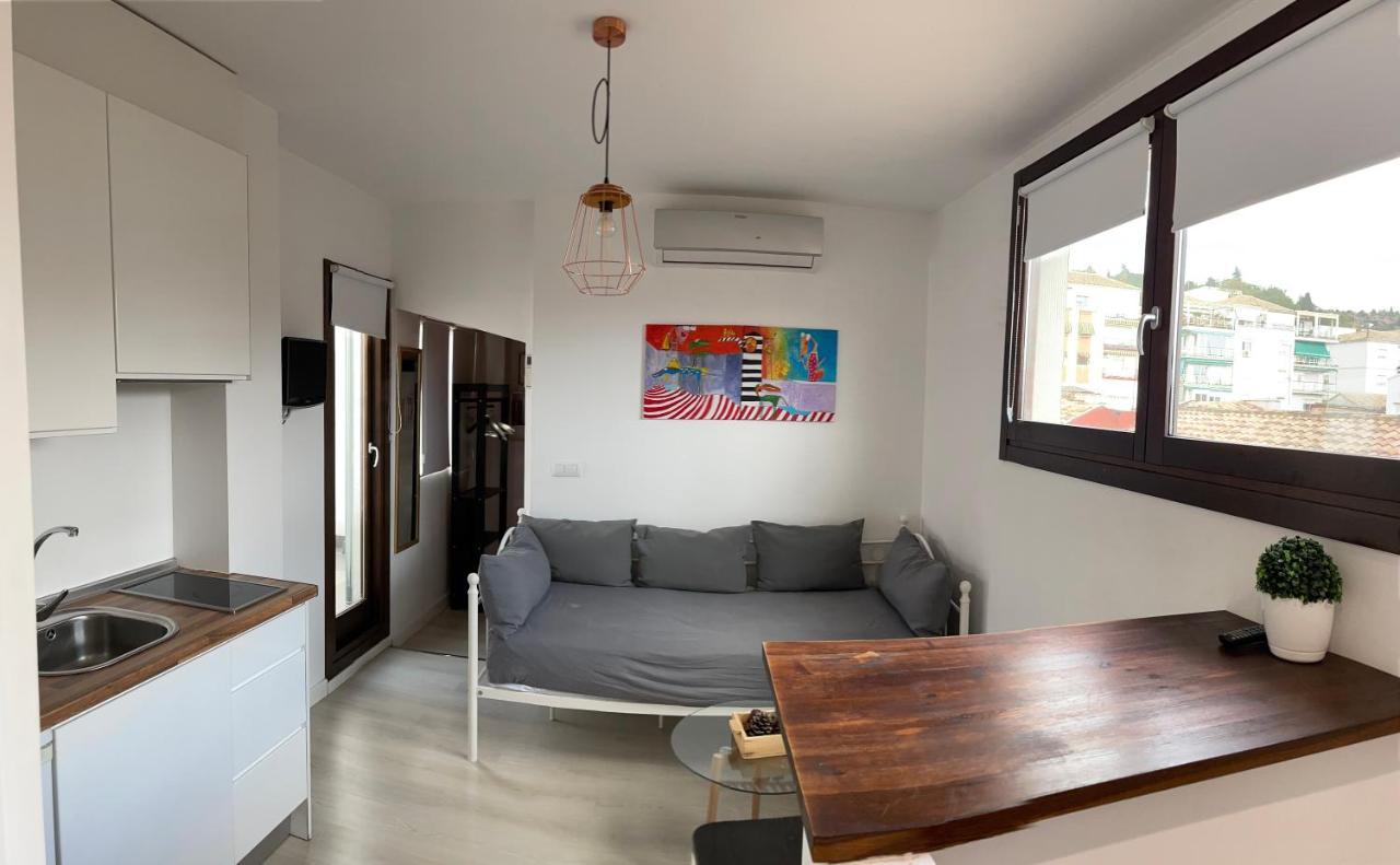 Apartment Atico. Centro. Penthouse