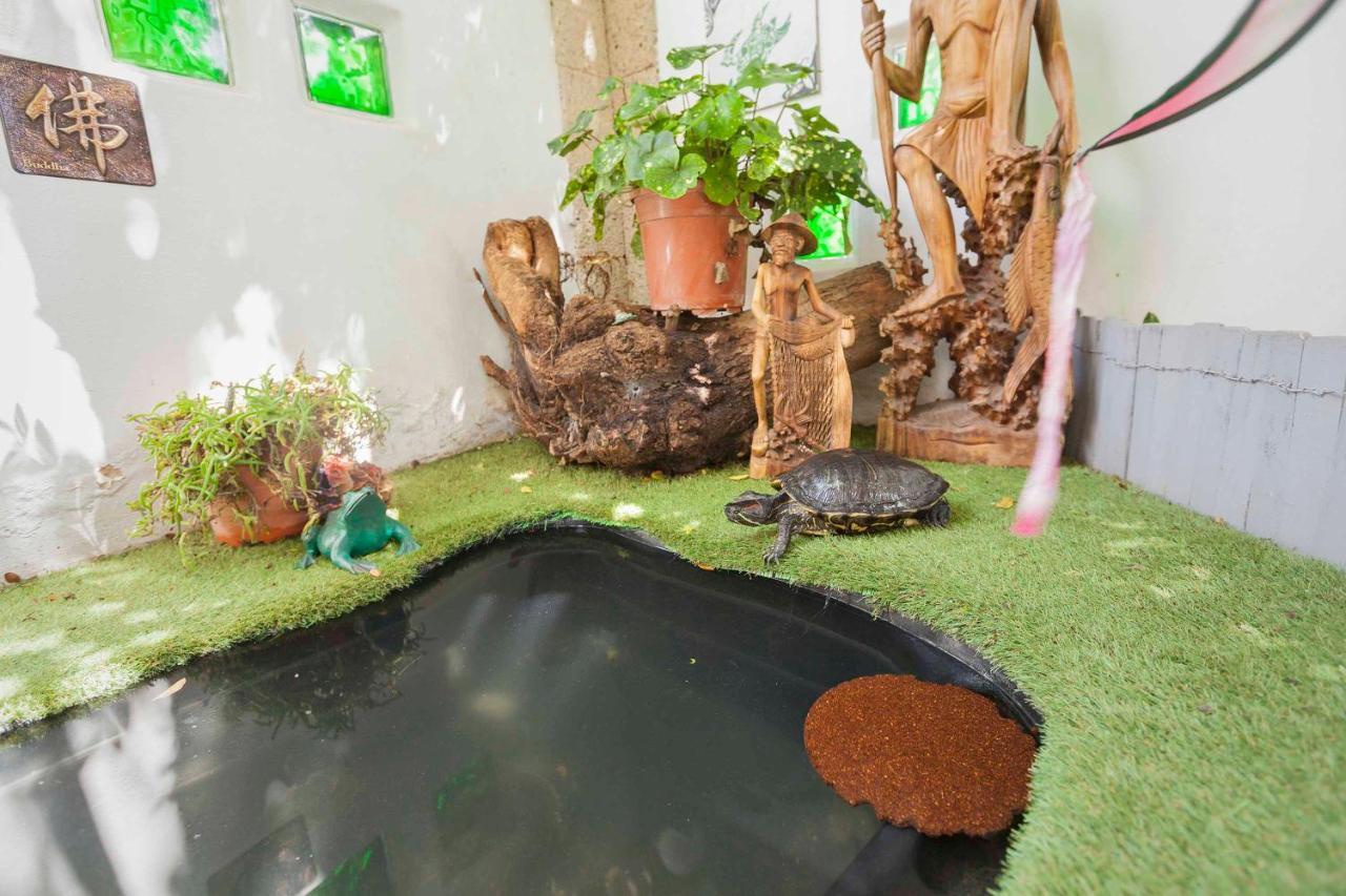 Balines Villa Arona (Tenerife)