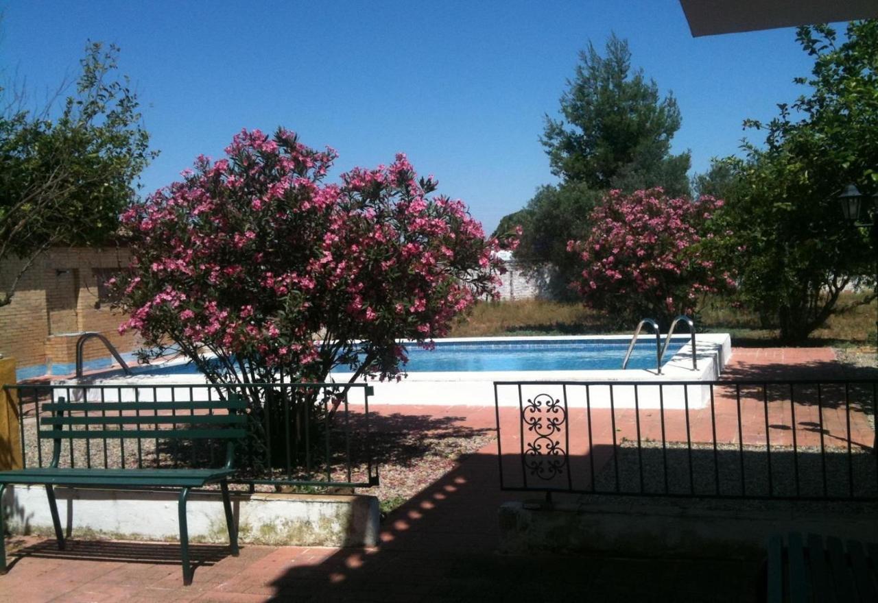 Villa Los Pinos Marchena (Seville)